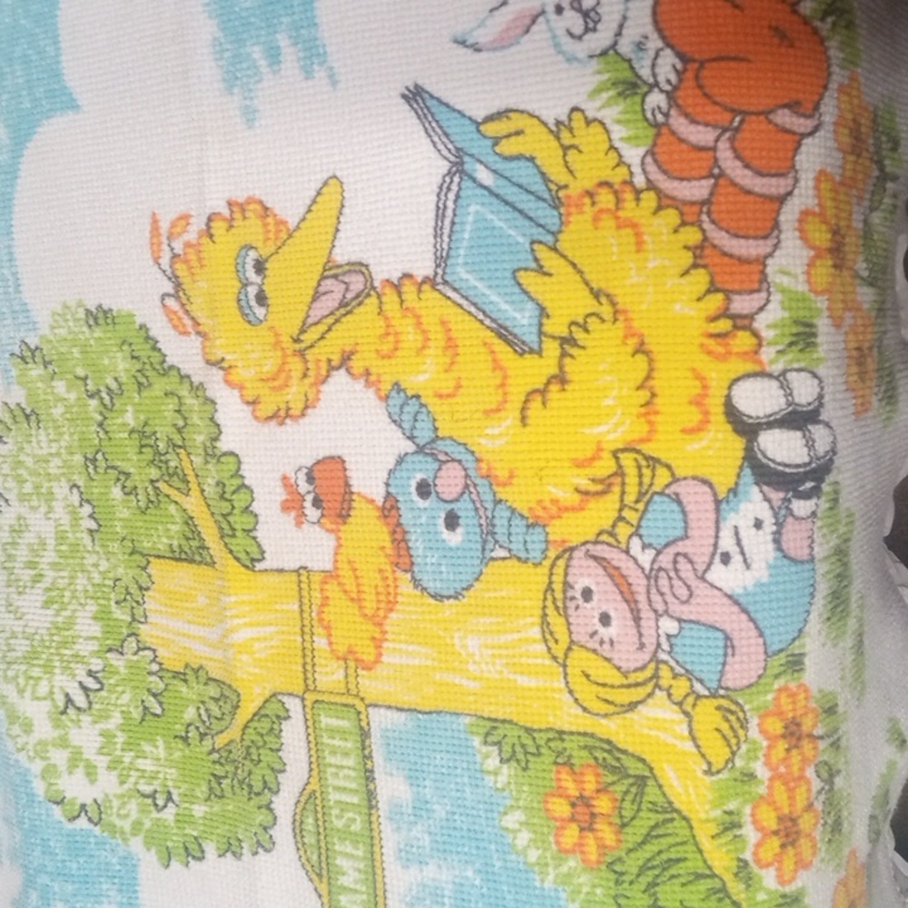 Vintage sesame Street nursery blanket